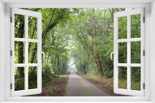 Fototapeta Naklejka Na Ścianę Okno 3D - Route normande bordée d'arbres