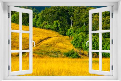Fototapeta Naklejka Na Ścianę Okno 3D - Summer hilly landscape