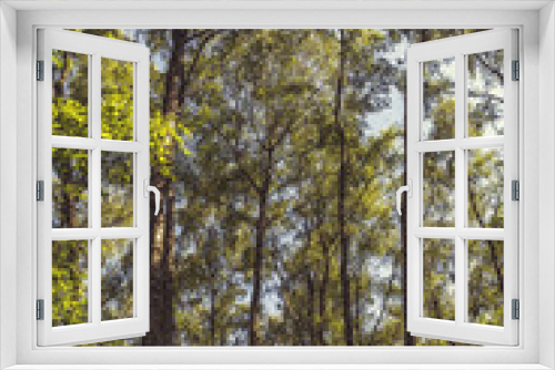 Fototapeta Naklejka Na Ścianę Okno 3D - Primeval Forest