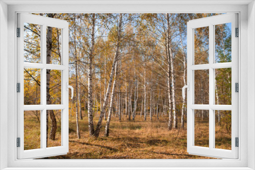 Fototapeta Naklejka Na Ścianę Okno 3D - Landscape of the autumn forest.