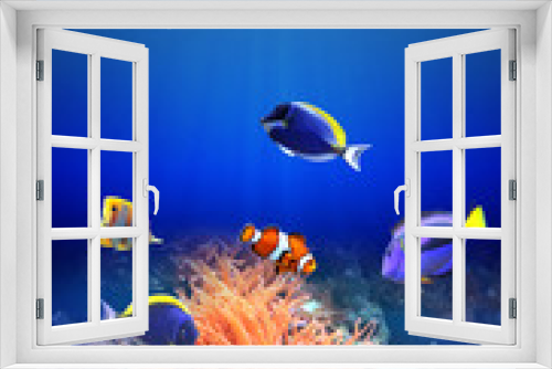 Fototapeta Naklejka Na Ścianę Okno 3D - Underwater scene with tropical fish