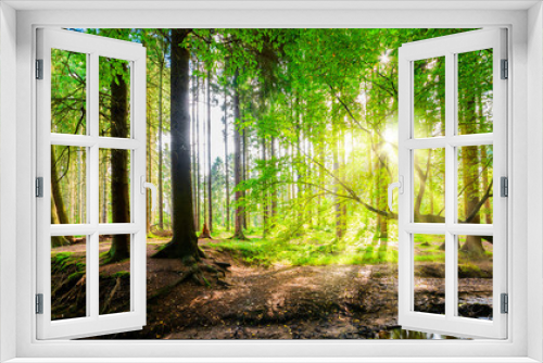 Fototapeta Naklejka Na Ścianę Okno 3D - Wald mit Sonne