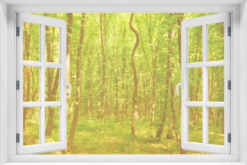 Fototapeta Naklejka Na Ścianę Okno 3D - vintage forest background