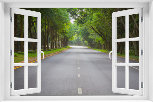 Fototapeta Naklejka Na Ścianę Okno 3D - green tunel forest clean road in the early morning, Thailand