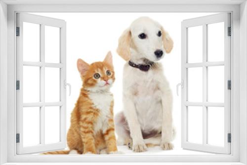 Fototapeta Naklejka Na Ścianę Okno 3D - Beige puppyand kitten  looks