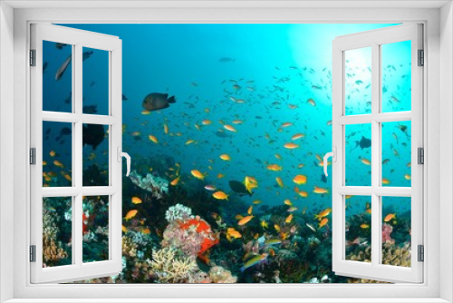 Fototapeta Naklejka Na Ścianę Okno 3D - モルディブの海