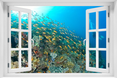 Fototapeta Naklejka Na Ścianę Okno 3D - モルディブの海