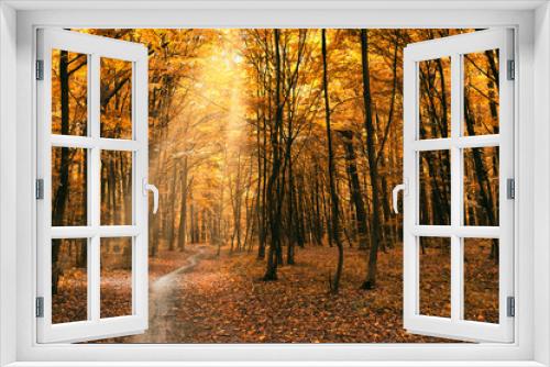 Fototapeta Naklejka Na Ścianę Okno 3D - autumn trees
