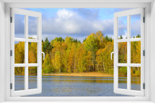 Fototapeta Naklejka Na Ścianę Okno 3D - Autumn forest on the lake.