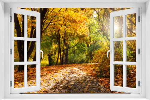 Fototapeta Naklejka Na Ścianę Okno 3D - Golden Autumn