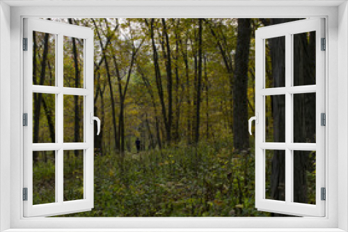 Fototapeta Naklejka Na Ścianę Okno 3D - Boy Walking in Autumn Woods