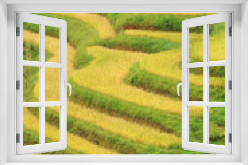 Fototapeta Naklejka Na Ścianę Okno 3D - Rices field in Sapa,Vietnam