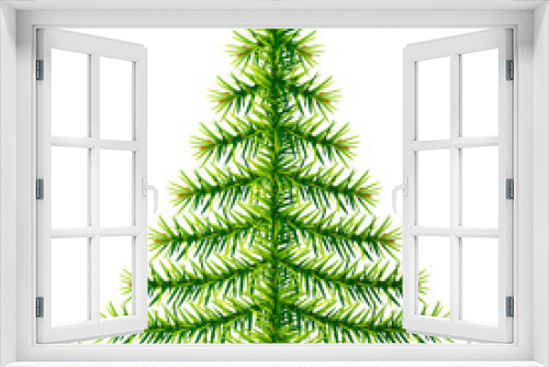 Fototapeta Naklejka Na Ścianę Okno 3D - Composition of pine branches in shape of christmas tree