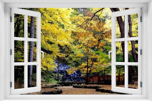 Fototapeta Naklejka Na Ścianę Okno 3D - 黄葉と落葉に埋まる池の神楽岡公園