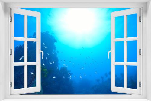 Fototapeta Naklejka Na Ścianę Okno 3D - 葉山芝崎の海