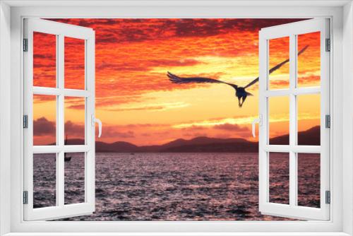 Fototapeta Naklejka Na Ścianę Okno 3D - Eagle