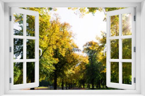 Fototapeta Naklejka Na Ścianę Okno 3D - Herbst