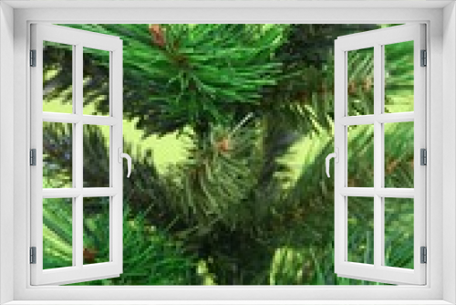 Fototapeta Naklejka Na Ścianę Okno 3D - Christmas Tree