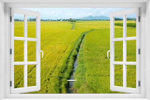 Fototapeta Naklejka Na Ścianę Okno 3D - Vietnam countryside landscape, rice field