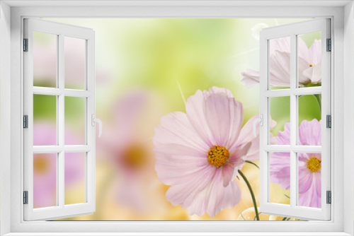 Fototapeta Naklejka Na Ścianę Okno 3D - Beautiful flowers on abstract  spring nature background