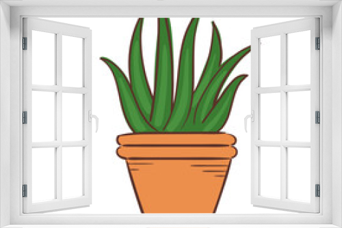 Fototapeta Naklejka Na Ścianę Okno 3D - Aloe House Plant