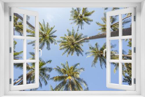 Fototapeta Naklejka Na Ścianę Okno 3D - Palm tree over blue sky