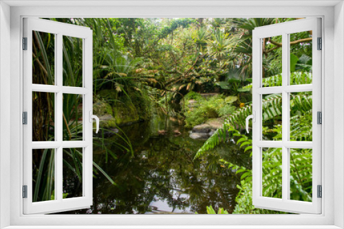 Fototapeta Naklejka Na Ścianę Okno 3D - Tropenwald mit Teich