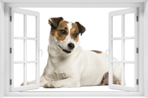 Fototapeta Naklejka Na Ścianę Okno 3D - Jack Russell Terrier in front of white background