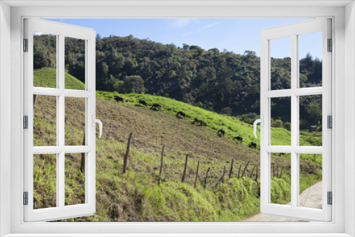 Fototapeta Naklejka Na Ścianę Okno 3D - Paisaje agrícola colombiano 