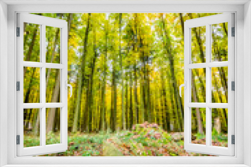 Fototapeta Naklejka Na Ścianę Okno 3D - Herbstzeit