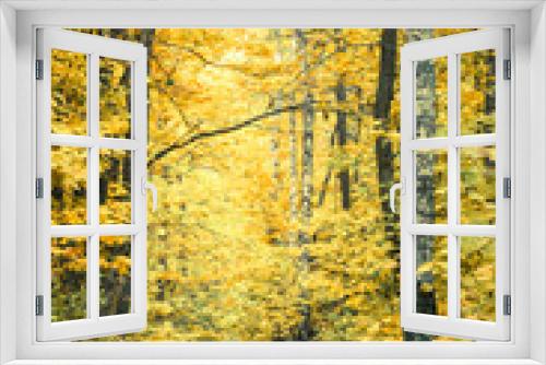 Fototapeta Naklejka Na Ścianę Okno 3D - footpath in fall forest