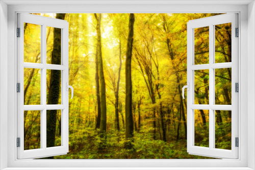 Fototapeta Naklejka Na Ścianę Okno 3D - Autumn forest with sun rays