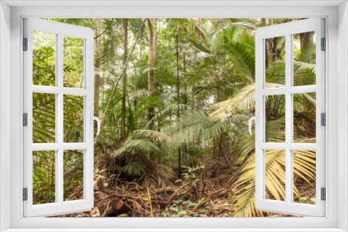 Fototapeta Naklejka Na Ścianę Okno 3D - Tropical rainforest wide angle photo