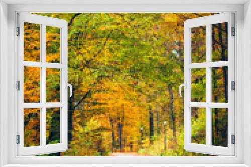 Fototapeta Naklejka Na Ścianę Okno 3D - Autumn Pathway