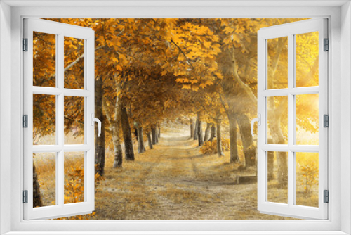 Fototapeta Naklejka Na Ścianę Okno 3D - Autumn colors in the forest