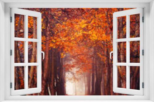 Fototapeta Naklejka Na Ścianę Okno 3D - Autumn misty forest
