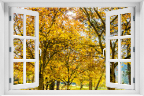 Fototapeta Naklejka Na Ścianę Okno 3D - Herbstzeit