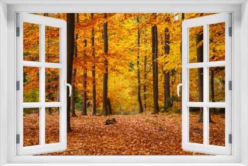 Fototapeta Naklejka Na Ścianę Okno 3D - Autumn trees in park
