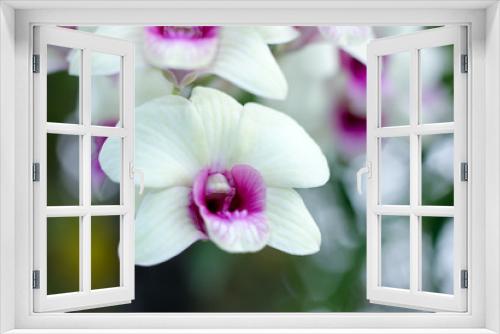 Fototapeta Naklejka Na Ścianę Okno 3D - Yellow orchids flower