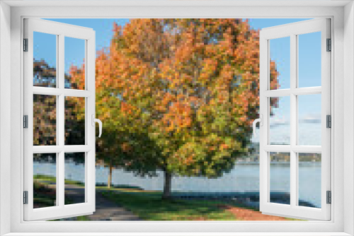 Fototapeta Naklejka Na Ścianę Okno 3D - Lake Washington - Tree 2