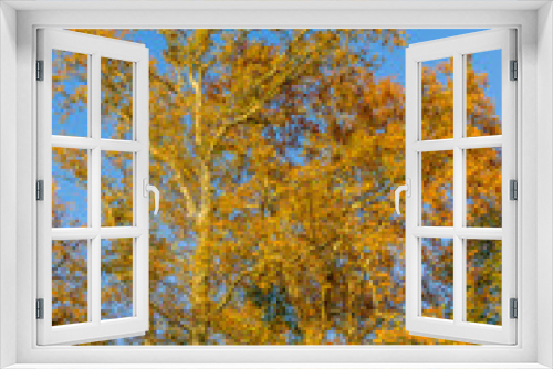 Fototapeta Naklejka Na Ścianę Okno 3D - Couleurs d'automne  au Parc de la Tête-d'Or de Lyon