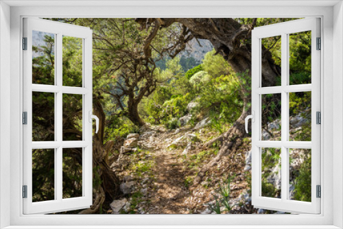 Fototapeta Naklejka Na Ścianę Okno 3D - Sardegna, sentiero trekking a Baunei, Ogliastra 