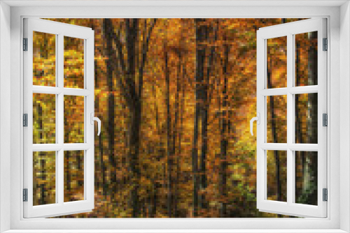Fototapeta Naklejka Na Ścianę Okno 3D - Colorful foliage in the trees