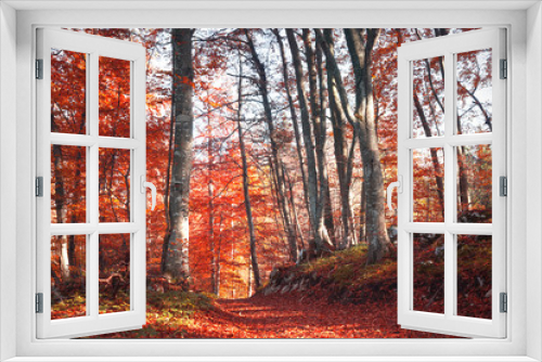 Fototapeta Naklejka Na Ścianę Okno 3D - Lovely mysterious red and orange color autumn season forest path covered with leaves. Color filter effect used.