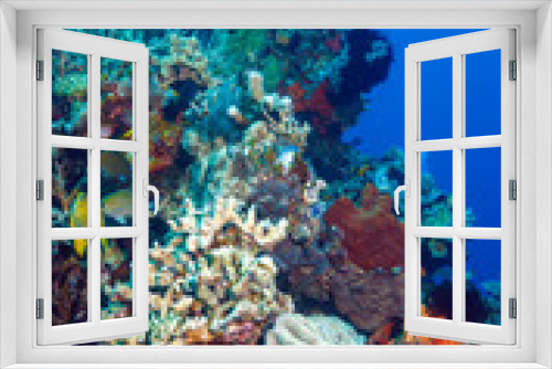 Fototapeta Naklejka Na Ścianę Okno 3D - Fishes and Sea Bottom of Ecosystem