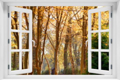 Fototapeta Naklejka Na Ścianę Okno 3D - Beautiful sunny forest in autumn