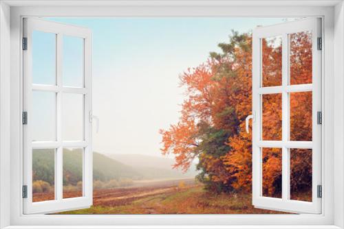 Fototapeta Naklejka Na Ścianę Okno 3D - Beautiful autumn landscape misty morning