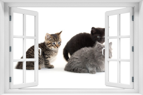 Fototapeta Naklejka Na Ścianę Okno 3D - Three cute kittens