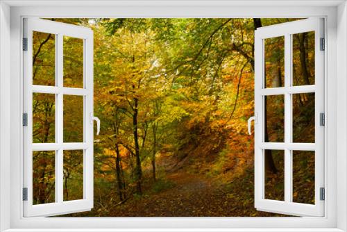 Fototapeta Naklejka Na Ścianę Okno 3D - Waldwanderung im Herbst