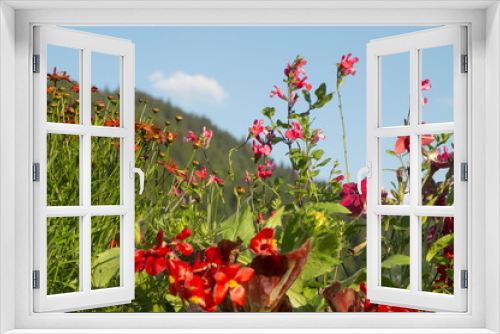 Fototapeta Naklejka Na Ścianę Okno 3D - Floral garden in a mountain village